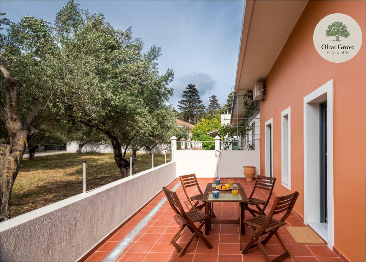 Olive Grove House Βίλα Αργοστόλι Εξωτερικό φωτογραφία